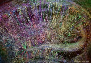 Brainbow Hippocampus 22K gilded microetching in custom frame 24” X 32”, 2014 Greg Dunn and Brian Edwards