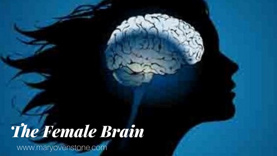 The Female Brain Mary Ovenstone